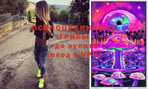 стафф Россошь