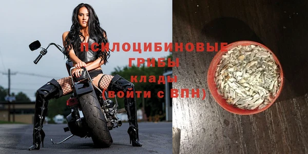 PSILOCYBIN Наволоки