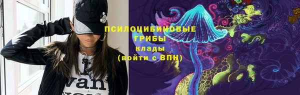 мяу мяу мука Михайловск